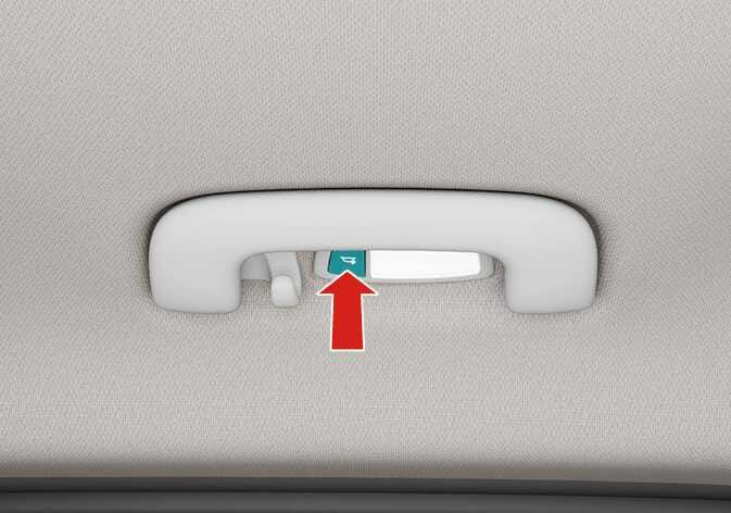 2026 Kia Tasman personal lamp button image. A red arrow points upward to the button highlighted in teal, located next to the ceiling assist handle. The button features a lamp icon. Explains the function of pressing the button to turn the corresponding interior lamp on or off.