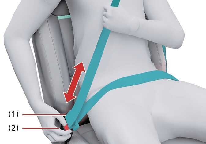 2026 기아 타스만 안전벨트 착용 방법 이미지입니다. 청록색으로 강조된 안전벨트의 플레이트(1)가 버클(2)에 체결되어 있습니다. 어깨띠 부분에는 위아래 방향의 붉은색 화살표가 표시되어 있습니다. 안전벨트 체결 후 어깨띠를 당겨 길이를 조절하고 장력을 유지하는 기능을 설명합니다.