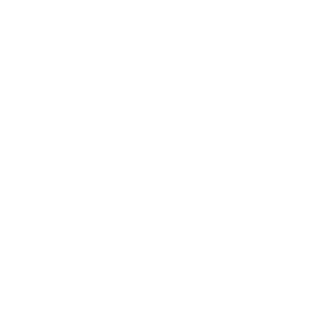 Kia Connect