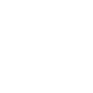 Electric Vehicle