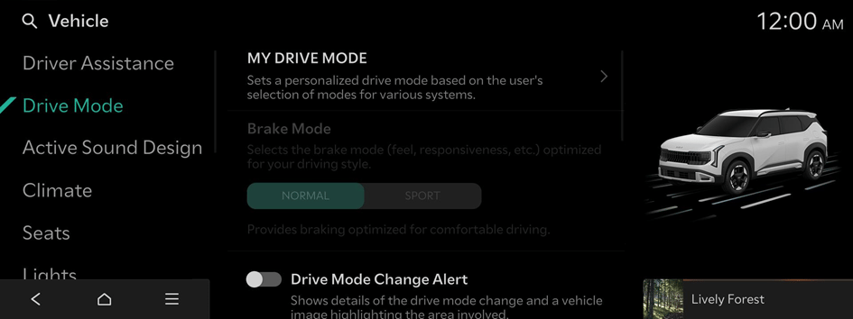 Available settings may differ depending on the vehicle model and ...